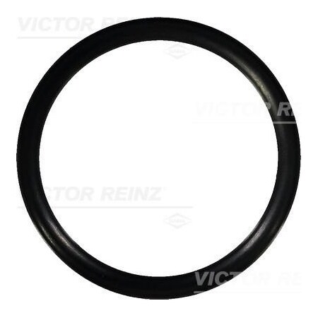 Reinz O-Ringcam, 40-76583-00 40-76583-00